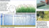 Cattails suck: floating water filters