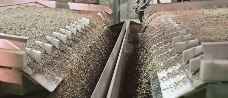 India’s predicted record harvest, along with the resumption of fumigation requirements, could see Canadian exports fall well below last year.  |  File photo  