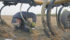 The physical and mental demands of seeding can push marketing onto the backburner. A U.S. grain marketing economist had developed simple marketing plans with fixed decision dates so that potential spring and summer price rallies aren’t missed while focusing on fieldwork. | File photo