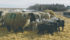 Demand for lamb remains flat, although sales increase during Easter and Muslim Ramadan. | File photo