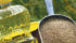 Canola’s meal discount is due to a combination of factors, including high fibre and elements of its chemistry that make it less valuable for most cattle and hog rations. | File photo