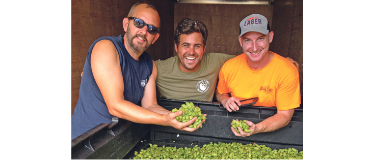 Brewers Eric Alhberg, left, and Shane Murphy, right, check hops with grower Marcos Ribeiro. |  Marcos Ribeiro photo