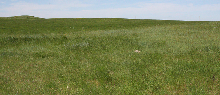 Protecting water, habitat and grasslands and offering recreation need to be recognized as a byproduct of the agriculture industry. | file photo