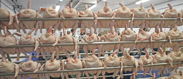 In 2016, Alberta producers increased production by 6.4 percent over 2015 and expects production to increase by four percent in 2017.  |  File photo