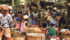 Crop breeding improvements don’t benefit many parts of the world because companies focus technology in areas where farmers have money to buy seed with improved disease, insect or drought resistance, says Margaret Smith. | File photo