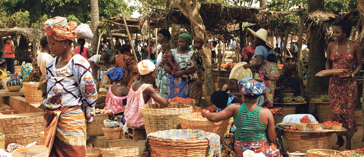 Crop breeding improvements don’t benefit many parts of the world because companies focus technology in areas where farmers have money to buy seed with improved disease, insect or drought resistance, says Margaret Smith.  |  File photo