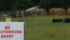 The AgriRecovery initiative was signed earlier this month after the province helped producers with the costs of keeping animals that should have gone to market. | File photo