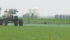 The report could generate a great deal of media attention in Canada because glyphosate is one of the most controversial agricultural chemicals in Europe and America. | File photo