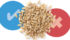 A Manitoba grower’s malting barley tested dramatically different for fusarium at the elevator and a maltster. Why?