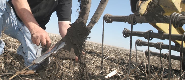 If a farmer leaves a field at the entrance the tractor, seeder or cultivator is likely covered in soil and loaded with billions of clubroot spores. | File photo