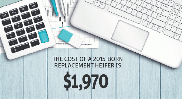 Culling a careful consideration of cost