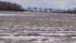 Canola swaths were still under snow April 20 in Alberta’s Peace district, which reflects the challenges facing many farmers in the region this spring as they struggle to harvest last year’s crop and get this year’s crop in the ground on time. | Randy Vanderveen photo