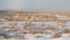 Snow is keeping Alberta farmers from harvesting last year’s crop or seeding this one. | File photo