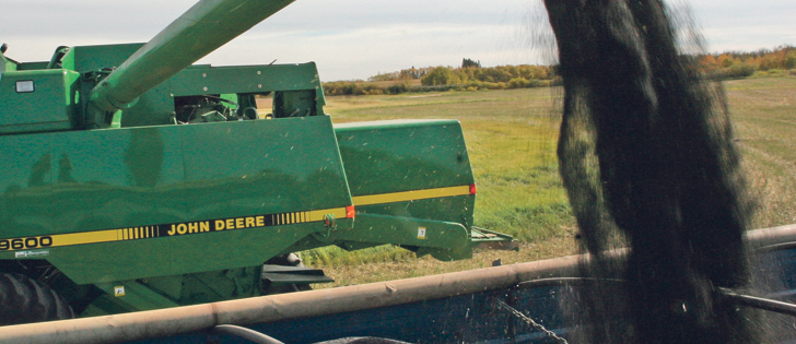 To keep cash canola bids attractive even as futures fall, crushers and exporters had to improve the basis.  |  File photo