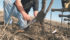 Canadian farmers had high hopes for increased seeded area when Statistics Canada surveyed them in March, but recent cold, wet weather is leading to concerns about muddy fields and hard to manage unharvested crop. | File Photo