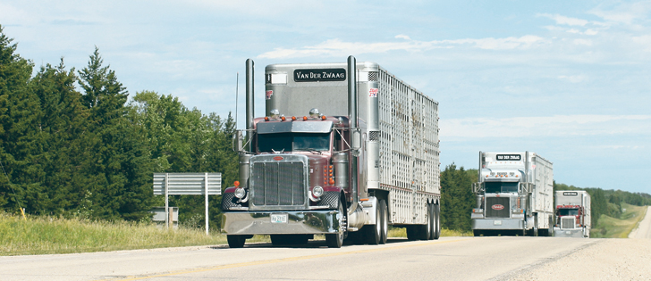 The United States wants to reopen the North American Free Trade Agreement, but an agricultural economist says the country should be careful what it wishes for.  |  File photo