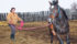 Killarney Sheffield raises and sells horses at Lougheed, Alta. She says she always dreamed of a life on the farm and bought her first horse as a teen. | Karen Morrison photo