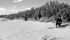 Topsoil is blown into a shelter belt near Consul, Sask., in this undated photo. | File photo