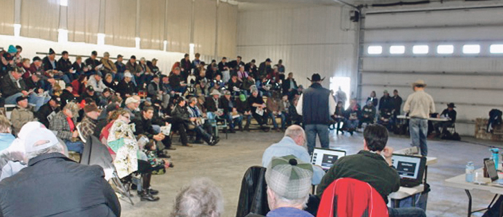Lonestone Farms has an annual bull sale in its shop, which reduces animal stress because they don’t have to be hauled into the auction mart. | Nathan Brown photo