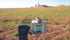 With a feedlot in the distance, this open-path laser monitors gas concentrations. The system is able to measure emissions regardless of wind direction.  
|   PHOTO COURTESY OF MERISTEM LAND & SCIENCE