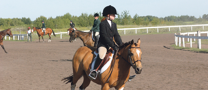 At horse events, owners must take steps to limit contact with other horses and avoid communal water buckets.  |  Jamie Rothenburger photo