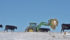 If there are alternative feeds available locally at a good price, they may be worth considering, said Murray Feist of Saskatchewan Agriculture.
| File photo