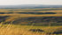 The 3,000-acre parcel was bought from a landowner in the Milk River Basin with funding from the federal and provincial governments. | Calvin Fehr photo