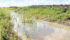 Grassed ditches and stream banks actually add more nutrients to runoff, says a scientist from the University of Manitoba. | File photo