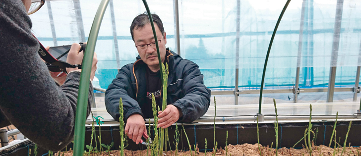 Japan’s 2011 earthquake, tsunami and nuclear power plant accident caused hardship for the region’s farmers, including asparagus grower Yoshiyuki Shigihara.  |  Photo courtesy Fukushima Prefecture Iitate Reconstruction Policy Division