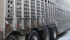 Canadian livestock producers say shorter transportation times and rest stops could actually be worse for animals in transit.
| File photo