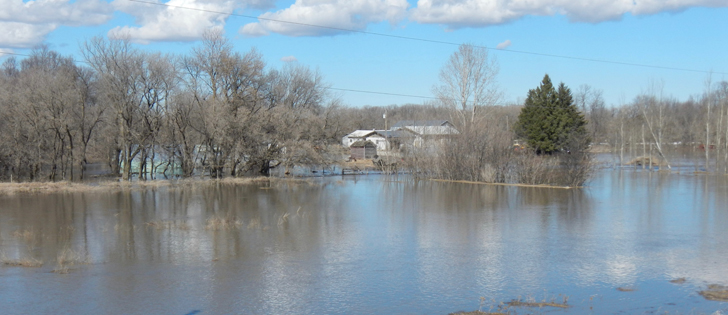 Flooding near Stephenfield, Manitoba. | Jeannette Greaves photo