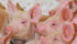 Hopes are rising across Manitoba and in many areas of the economy that the hog industry’s long stall will end and the one-time growth engine will be restarted.
| File photo