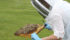 The University of Manitoba offers a non-credit beekeeping course every winter and for the last three years it’s been packed with students. In fact, overflowing. | File photo