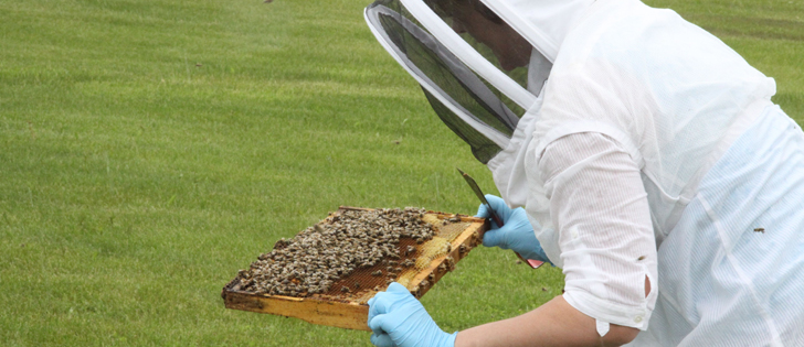 The University of Manitoba offers a non-credit beekeeping course every winter and for the last three years it’s been packed with students. In fact, overflowing. | File photo