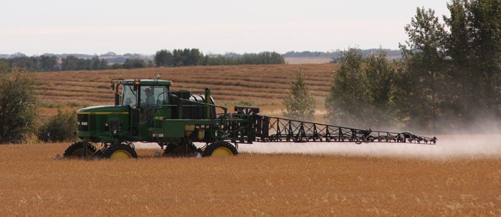 Health Canada has found that glyphosate exceeds maximum residue limits in grain products about four percent of the time. | File photo