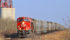 The new daily West Coast Grain Pipeline Status report will provide