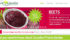 Canadian Prairie Garden Puree Products of Portage la Prairie filed for bankruptcy protection in late March. | Screencap via canadianprairiegarden.com