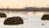 Flooding near Brunkild, Manitoba. | Jeanette Greaves photo