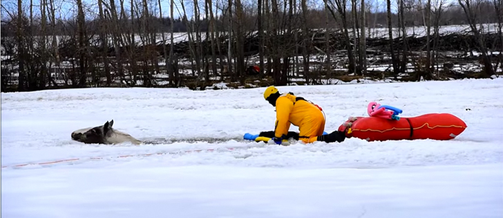 On April 16, Easter Sunday, 10 horses fell through the ice on a dugout, sparking a rescue effort involving crews and members from six fire and rescue stations. | Screencap via YouTube.com and William Vavrek