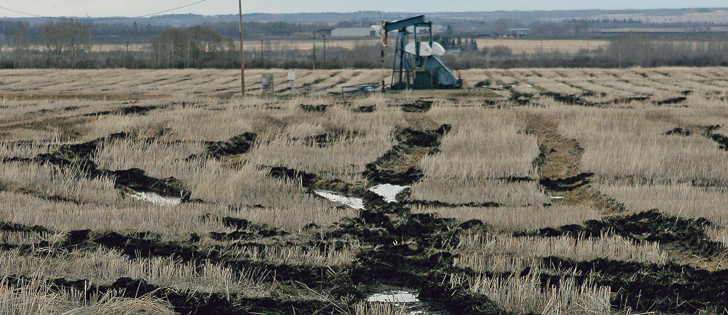 Attempts at harvesting overwintered crops, including this field photographed southwest of Sylvan Lake, Alta., April 25, left deep ruts that filled with water after a series of snowstorms.  |  Brenda Kossowan photo
