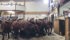 Analyst says lighter cattle are heading to market due to high packer demand and are bringing healthy prices. | Barb Glen photo
