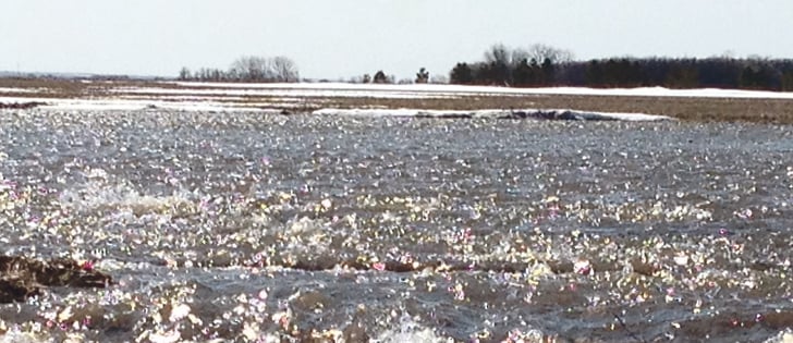 Conservation districts in the Red River Basin are designed to help landowners protect land and water resources.  |  File photo