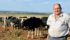 Anthony Khourie examines the heifers at Bosparadys Farm. | Chris McCullough photo