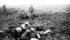 Canadian Vickers machine-gun teams dig into the mud on Vimy Ridge and prepare to hold it against an enemy counterattack. The Canadian core of 100,000 strong suffered 10,602 casualties in four days. | Tim Cook photo collection