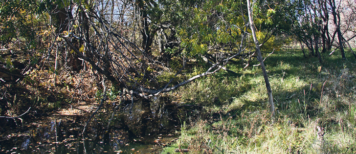 Streams were evaluated according to depth, condition of the banks, water quality and wildlife diversity.  |  File photo