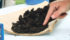 Researchers examine soil aggregates, which are groups of soil particles that bind together, to develop a soil health test. Spaces within and between aggregates provide pores and pathways for air and water to move. | File photo