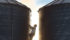 As spring temperatures rise, so may the temperature in grain bins, leading to spoilage. Growers are advised to monitor bins to minimize the risk. | File photo