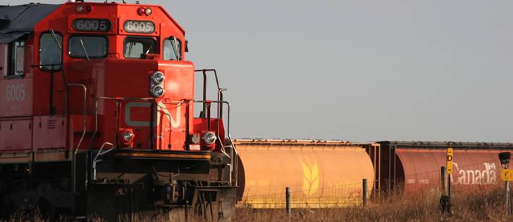 Canada's pulse and special crops industries said Wednesday they are assessing the potential impact of Bill C-49, proposed federal legislation that's aimed at improving Canada's grain transportation system for shippers. | File photo