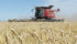 Spring wheat acres are down 40 percent from where they were 35 years ago. | File photo