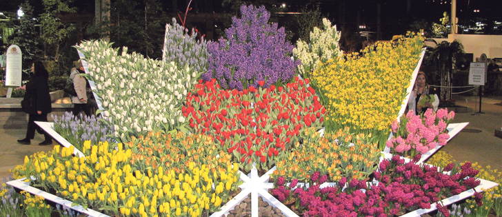 Canada’s 150th birthday was the theme of many displays at the Canada Blooms event in Toronto
this spring. 
|  Lorna McIlroy photo